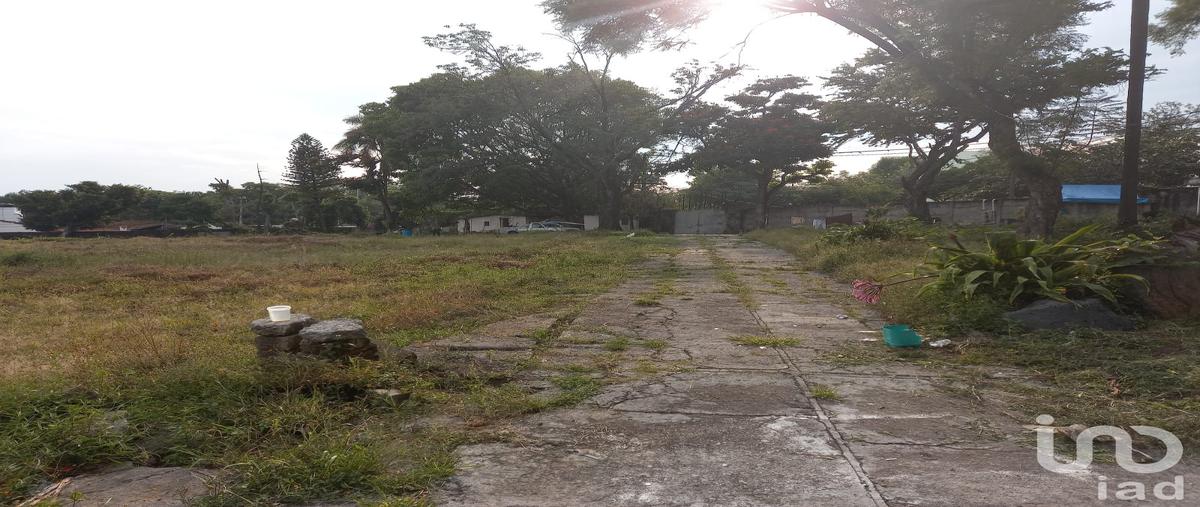 Foto de terreno comercial en venta en cuauhtémoc 507, cantarranas, cuernavaca, morelos, 28723051 No. 05
