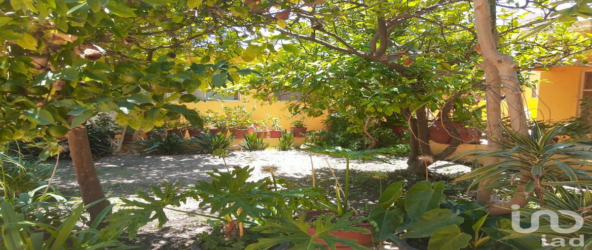 Foto de casa en venta en cuauhtémoc 71, anáhuac, tlaxcoapan, hidalgo, 28721469 No. 03