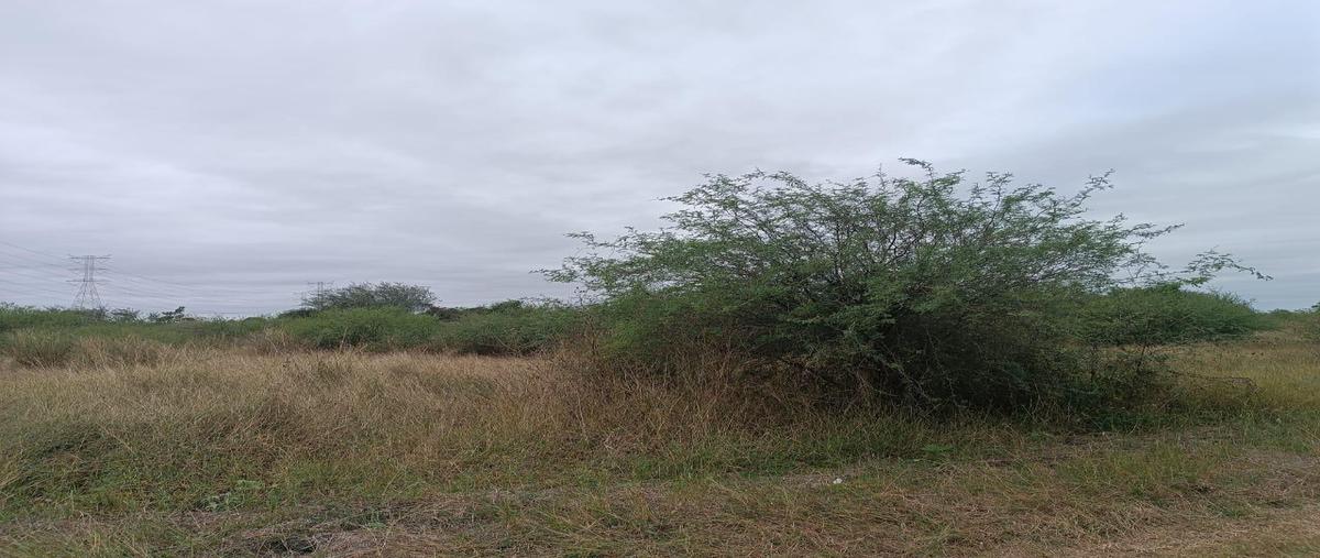 Foto de terreno habitacional en venta en  , cuauhtémoc, altamira, tamaulipas, 0 No. 04