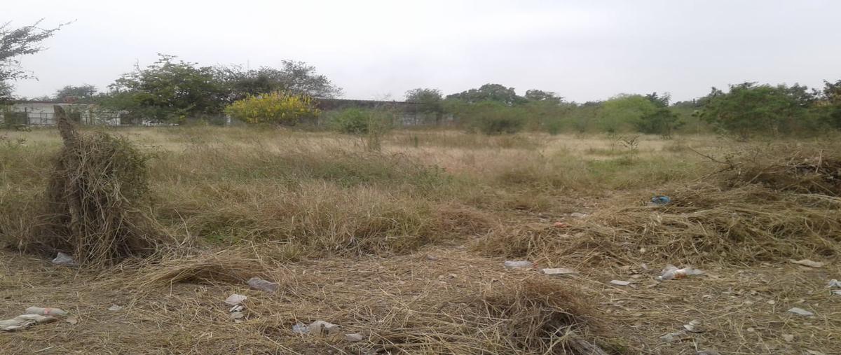 Foto de terreno comercial en renta en cuauhtemoc , altavista, el mante, tamaulipas, 23711139 No. 03