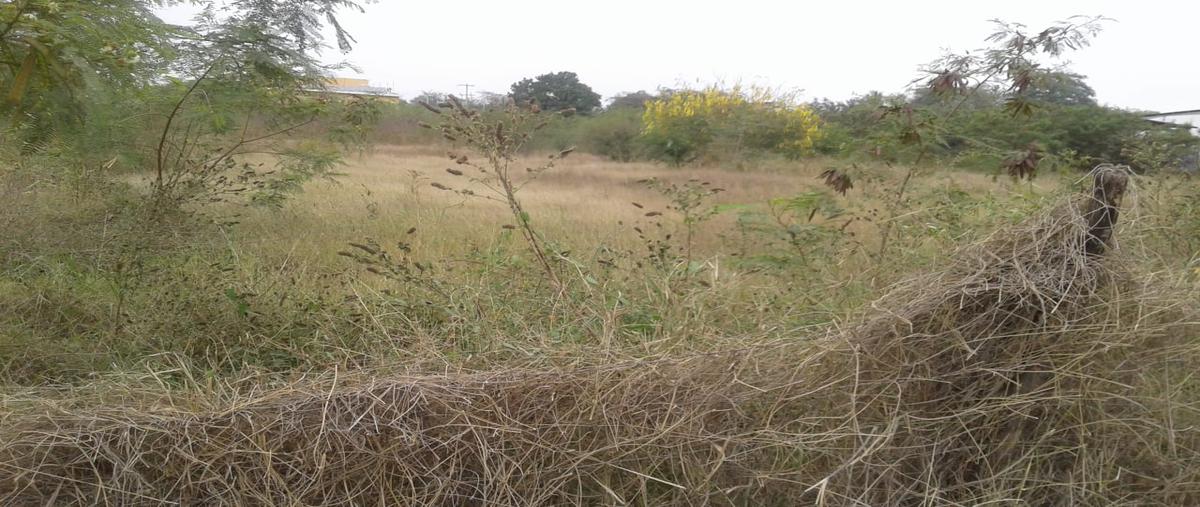 Foto de terreno comercial en renta en cuauhtemoc , altavista, el mante, tamaulipas, 23711139 No. 04