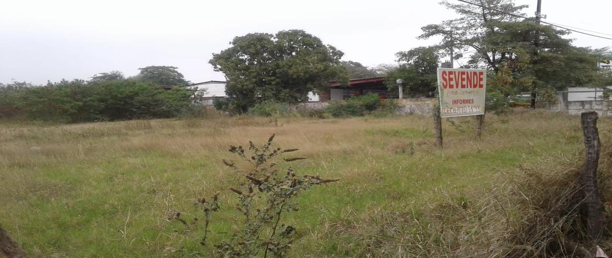Foto de terreno comercial en renta en cuauhtemoc , altavista, el mante, tamaulipas, 23711139 No. 05