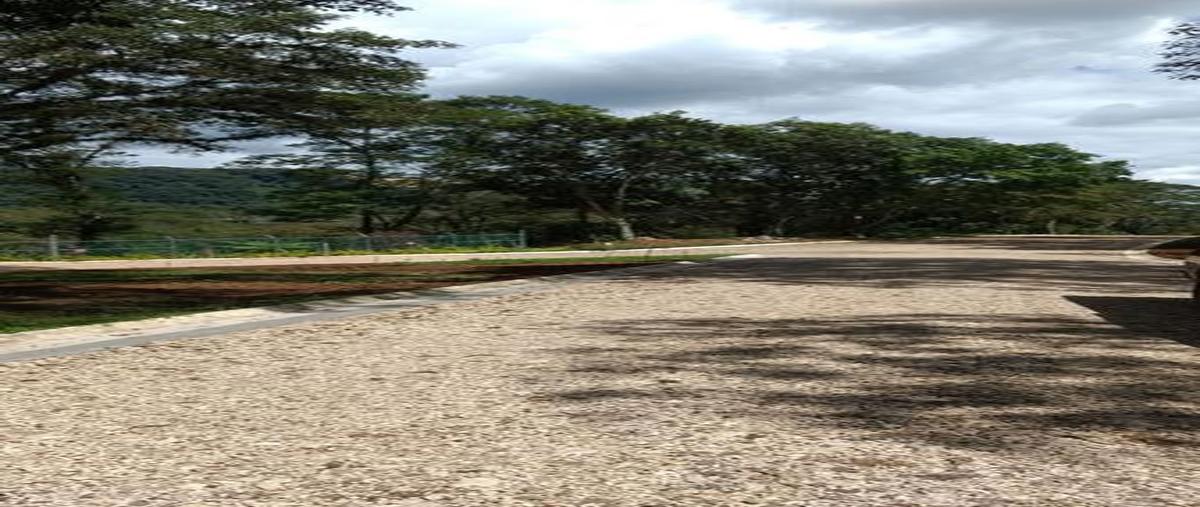 Foto de terreno habitacional en venta en  , cuauhtémoc, coatepec, veracruz de ignacio de la llave, 0 No. 03
