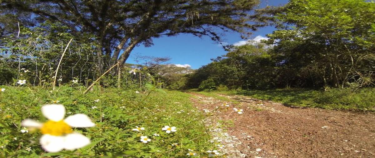 Foto de terreno habitacional en venta en  , cuauhtémoc, coatepec, veracruz de ignacio de la llave, 0 No. 04