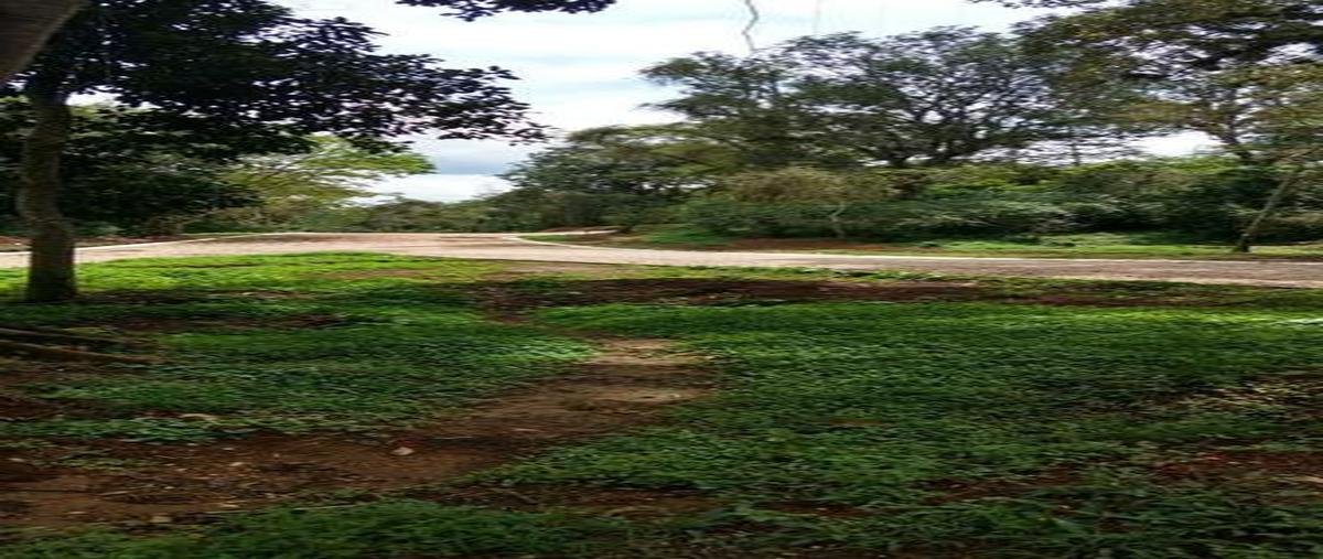 Foto de terreno habitacional en venta en  , cuauhtémoc, coatepec, veracruz de ignacio de la llave, 0 No. 05