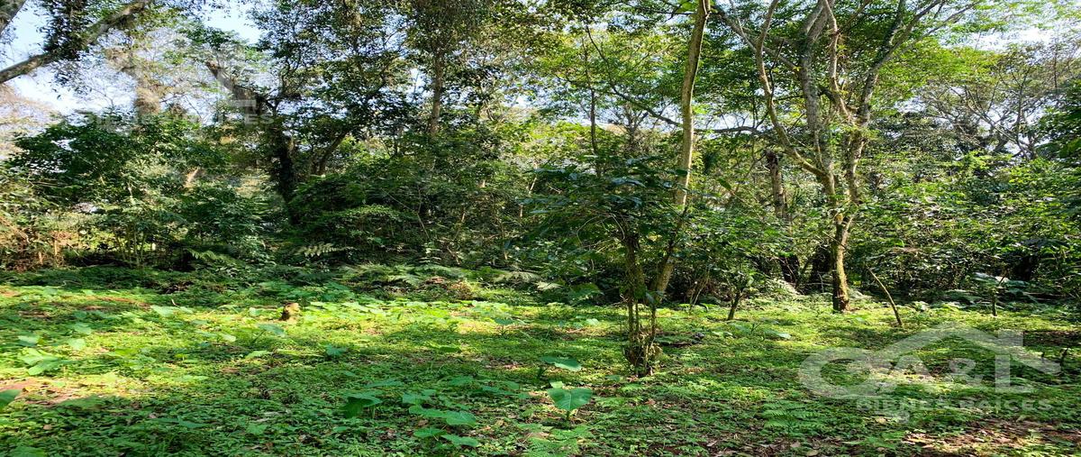 Foto de terreno habitacional en venta en  , cuauhtémoc, coatepec, veracruz de ignacio de la llave, 0 No. 04