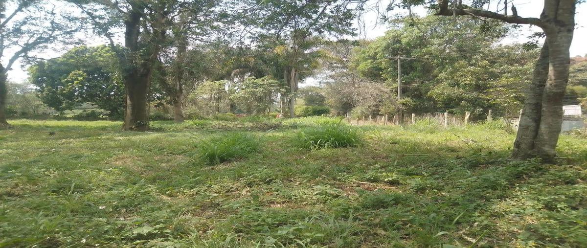 Foto de terreno habitacional en venta en  , cuauhtemoc, coatepec, veracruz de ignacio de la llave, 29968410 No. 03