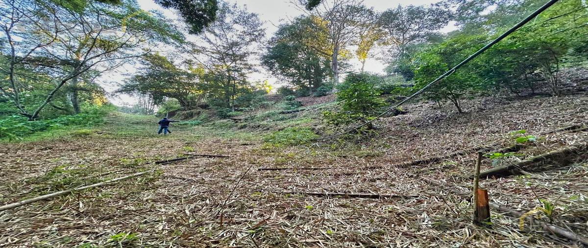 Foto de terreno habitacional en venta en  , cuauhtemoc, coatepec, veracruz de ignacio de la llave, 30853083 No. 04