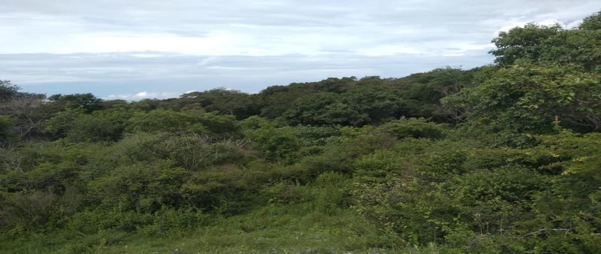 Foto de terreno habitacional en venta en  , cuauhtémoc, cuauhtémoc, colima, 21899221 No. 01