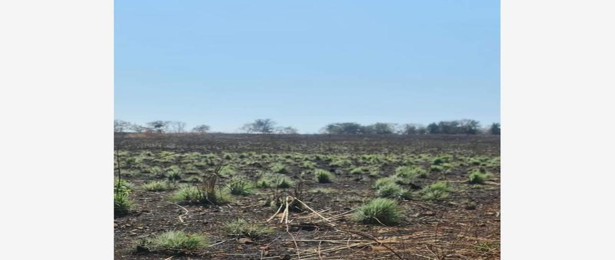 Foto de terreno industrial en venta en  , cuauhtémoc, cuauhtémoc, colima, 25557817 No. 01
