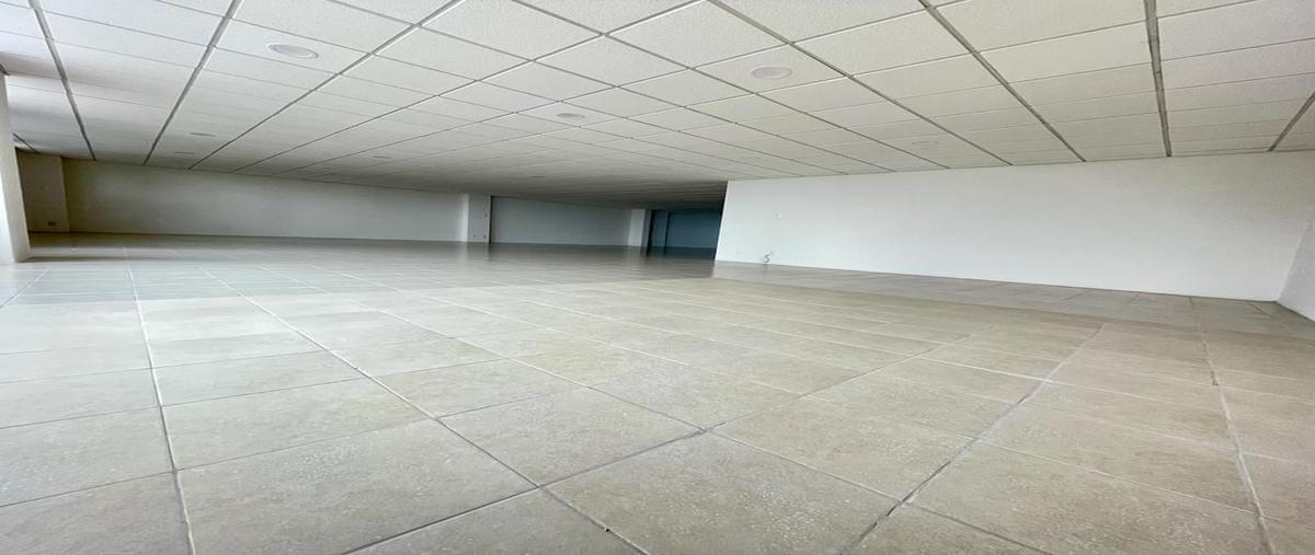 Foto de oficina en renta en  , cuauhtémoc, cuauhtémoc, df / cdmx, 27283470 No. 04