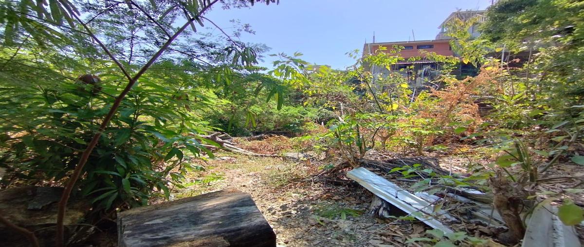 Foto de terreno habitacional en venta en  , cuauhtémoc infonavit, acapulco de juárez, guerrero, 29552669 No. 04