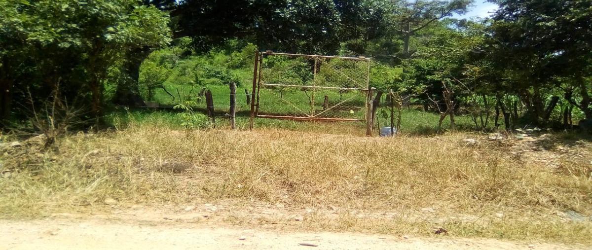 Foto de terreno habitacional en , cuauhtémoc, villaflores, chiapas, 0 foto 01 Foto de terreno habitacional en venta en , cuauhtémoc, villaflores, chiapas, 0 No. 01