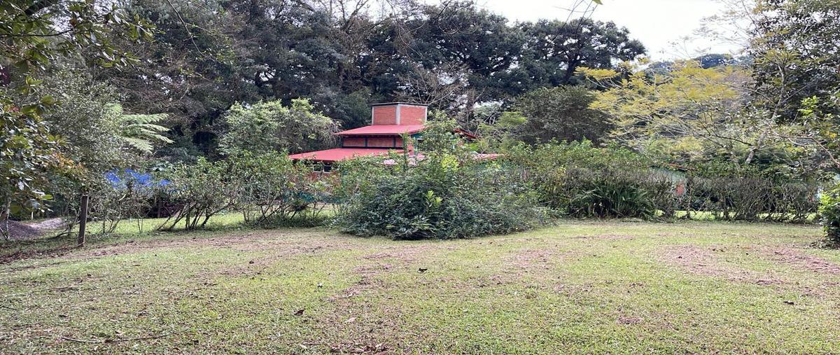 Foto de terreno habitacional en venta en  , cuauhtémoc, xalapa, veracruz de ignacio de la llave, 0 No. 04