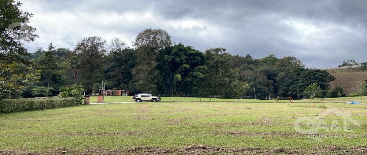 Foto de terreno habitacional en venta en  , cuauhtémoc, xalapa, veracruz de ignacio de la llave, 0 No. 05