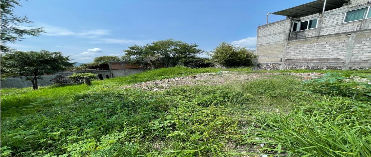Foto de terreno habitacional en venta en  , cuauhtémoc, yautepec, morelos, 25571014 No. 05