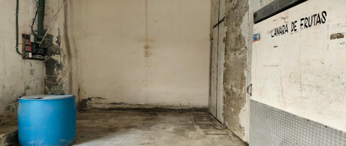 Foto de bodega en renta en cuautitlán centro , cuautitlán centro, cuautitlán, méxico, 29873348 No. 04
