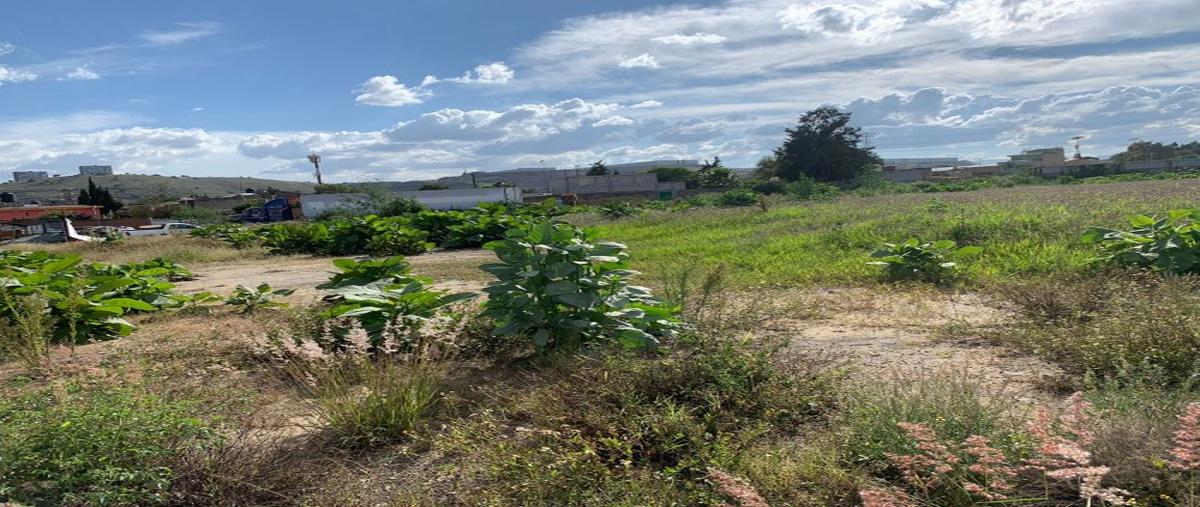 Foto de terreno comercial en renta en cuautitlán izcalli 0, cuautitlán izcalli centro urbano, cuautitlán izcalli, méxico, 25399168 No. 02