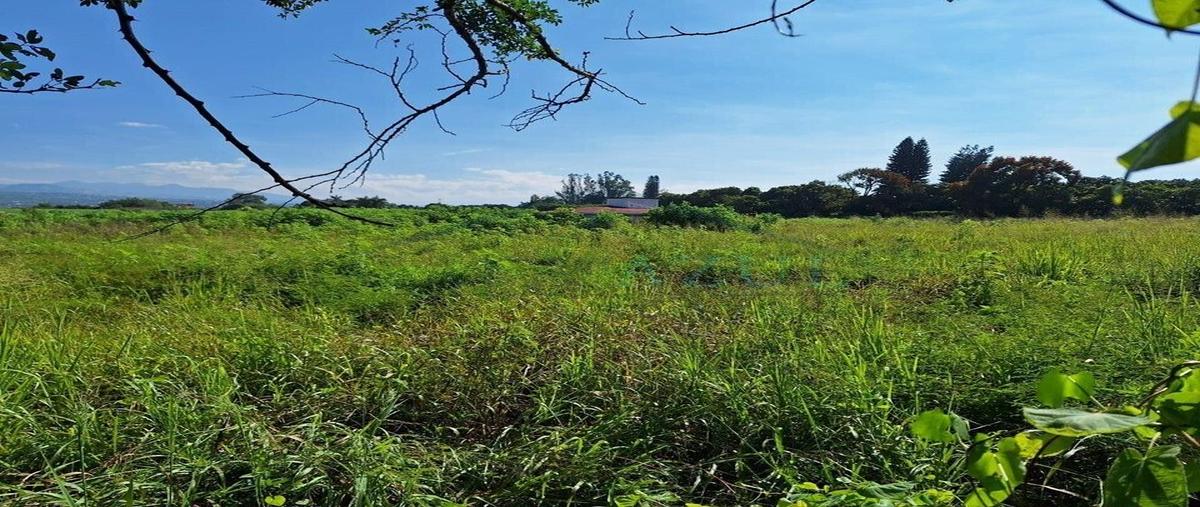 Foto de terreno habitacional en venta en cuautla , el michate, yautepec, morelos, 0 No. 03