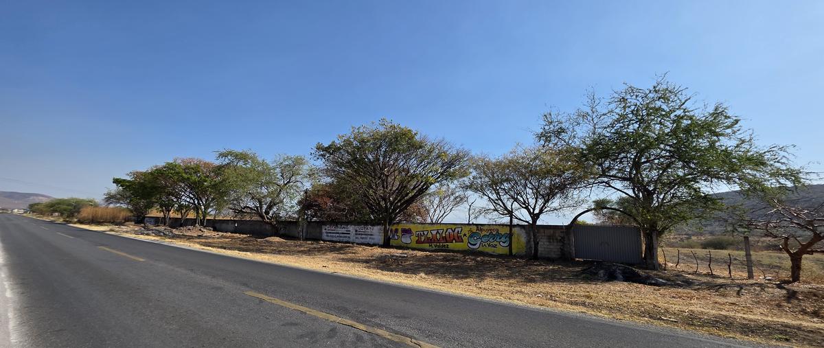 Foto de terreno habitacional en venta en cuaxcoma , alpuyeca, xochitepec, morelos, 30924164 No. 03