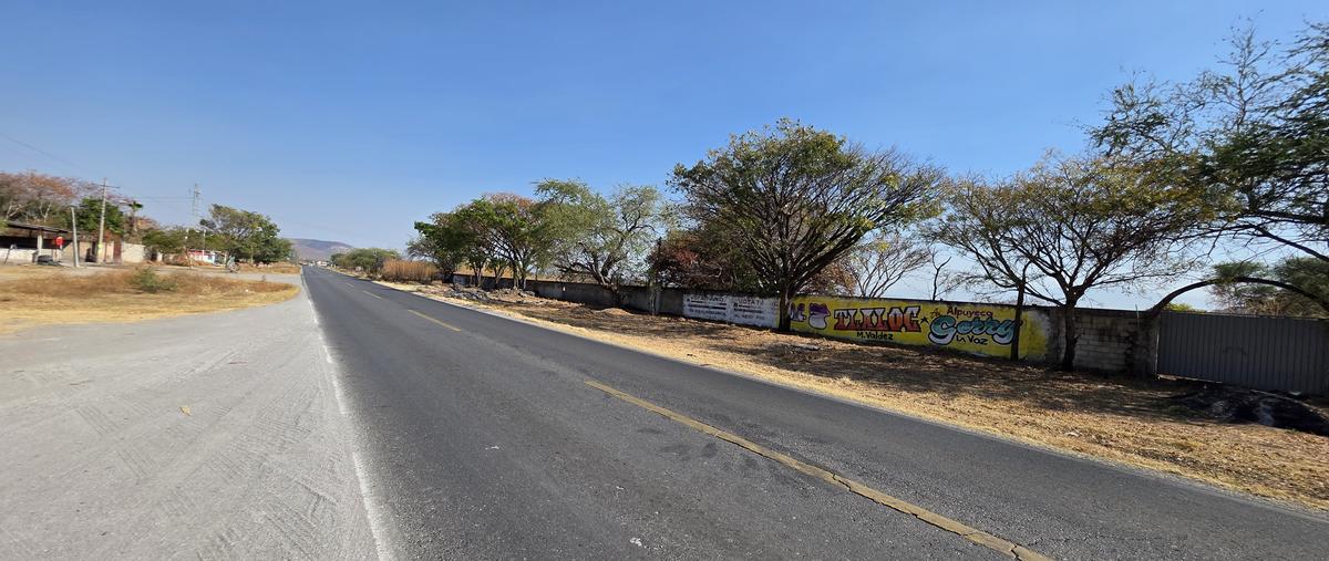 Foto de terreno habitacional en venta en cuaxcoma , alpuyeca, xochitepec, morelos, 30924164 No. 04