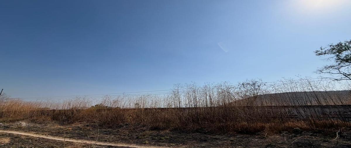 Foto de terreno habitacional en venta en cuaxcoma , alpuyeca, xochitepec, morelos, 30924164 No. 05