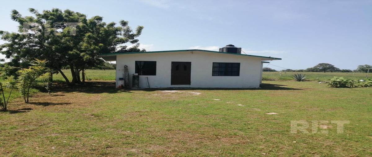 Foto de rancho en venta en  , cucharas, ozuluama de mascareñas, veracruz de ignacio de la llave, 27162905 No. 05