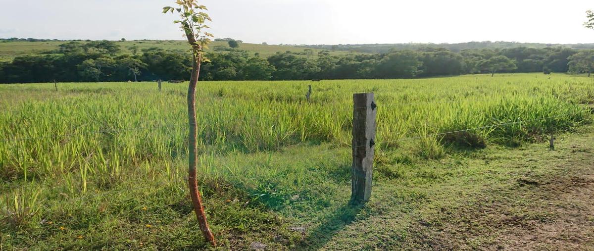Foto de rancho en venta en  , cucharas, ozuluama de mascareñas, veracruz de ignacio de la llave, 0 No. 03