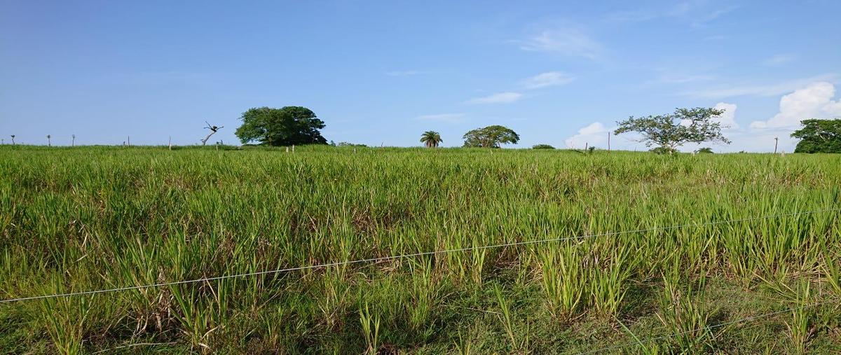 Foto de rancho en venta en  , cucharas, ozuluama de mascareñas, veracruz de ignacio de la llave, 0 No. 04