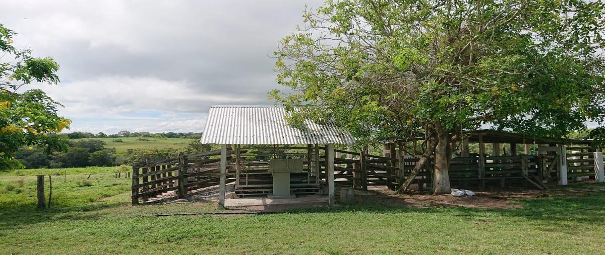 Foto de rancho en venta en  , cucharas, ozuluama de mascareñas, veracruz de ignacio de la llave, 0 No. 05