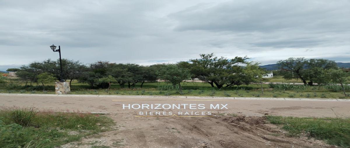 Foto de terreno habitacional en venta en  , cuevas (huachimole de cuevas), guanajuato, guanajuato, 27431212 No. 04