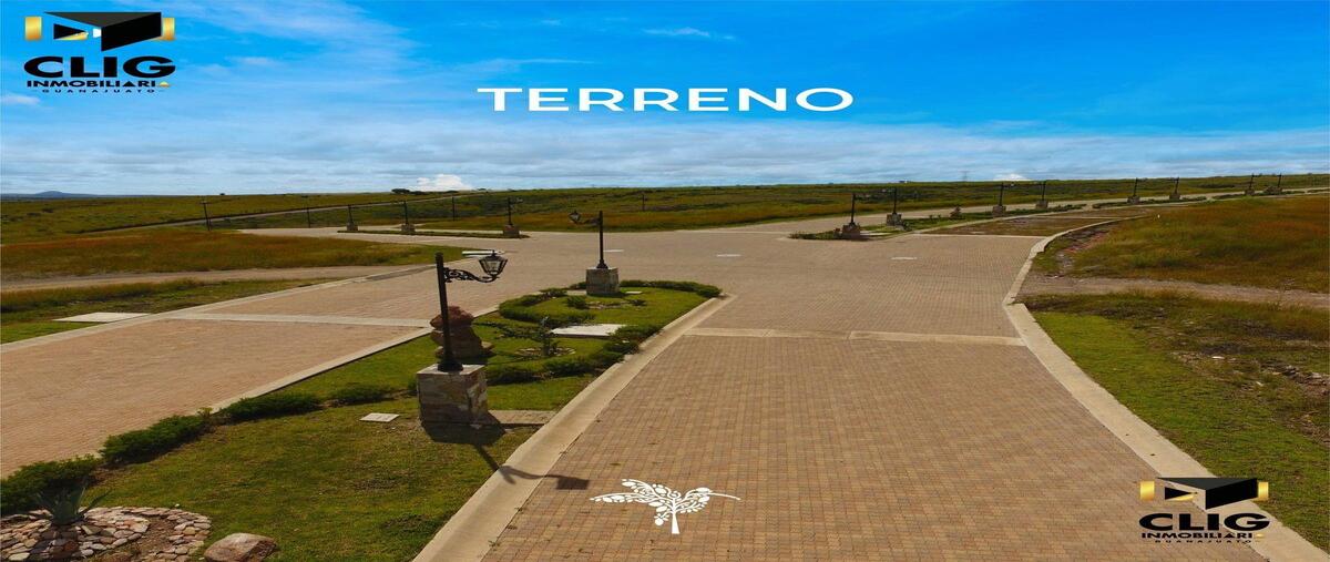 Foto de terreno habitacional en venta en  , cuevas (huachimole de cuevas), guanajuato, guanajuato, 0 No. 03