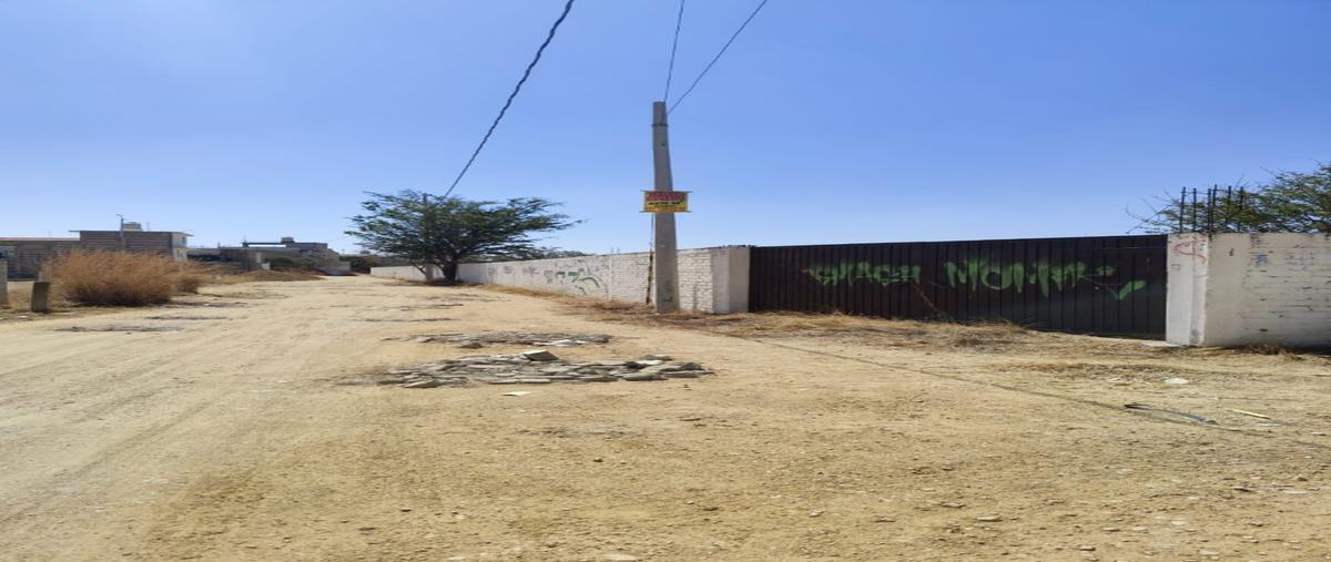 Foto de terreno habitacional en venta en  , cuilápam de guerrero centro, cuilápam de guerrero, oaxaca, 0 No. 05