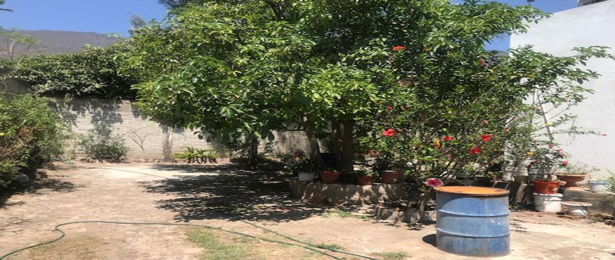 Foto de casa en venta en cuitlahuac 1, tepec, amacueca, jalisco, 24876762 No. 04