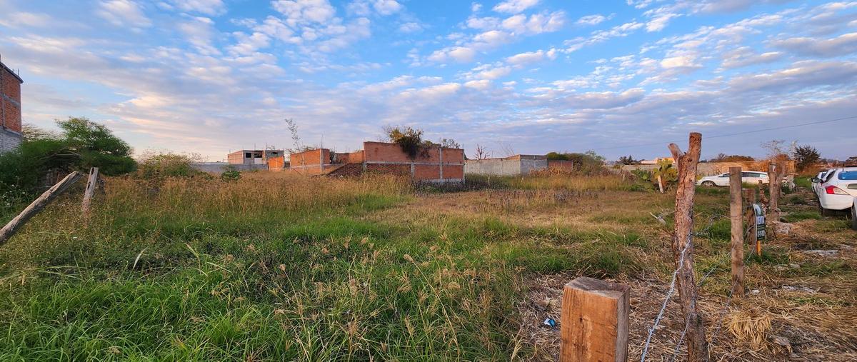Foto de terreno habitacional en venta en  , cuitzillo el chico, tarímbaro, michoacán de ocampo, 29088316 No. 03