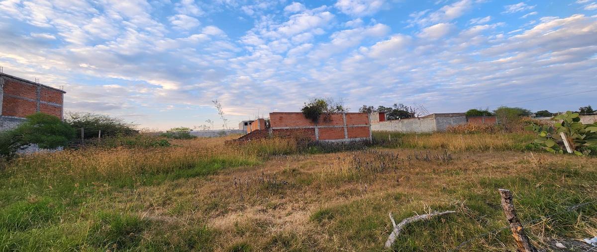 Foto de terreno habitacional en venta en  , cuitzillo el chico, tarímbaro, michoacán de ocampo, 29088316 No. 05
