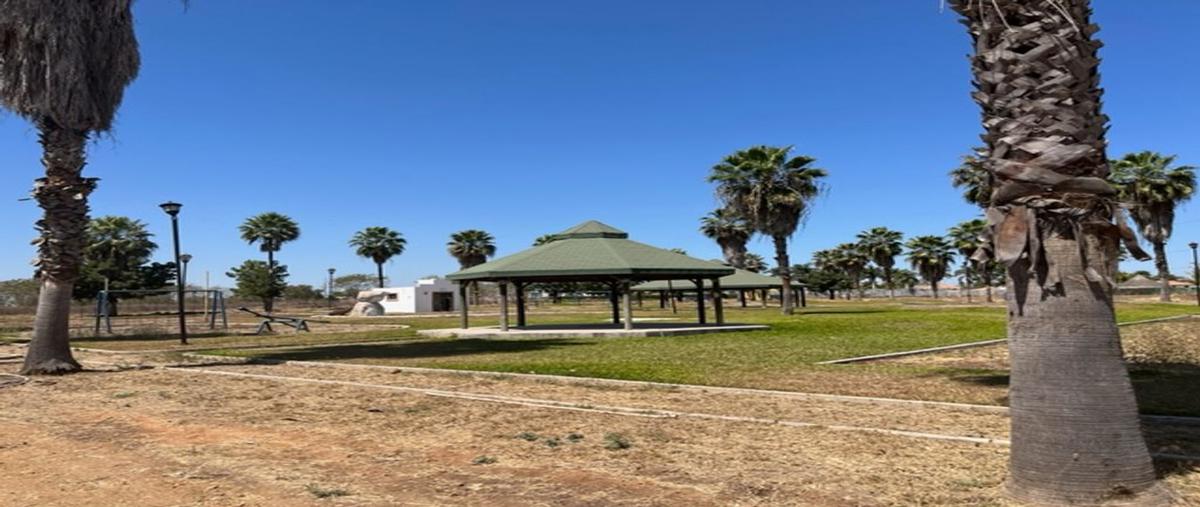 Foto de terreno habitacional en venta en culiacancito , la higuerita (las higueras de culiacán), culiacán, sinaloa, 24874600 No. 05