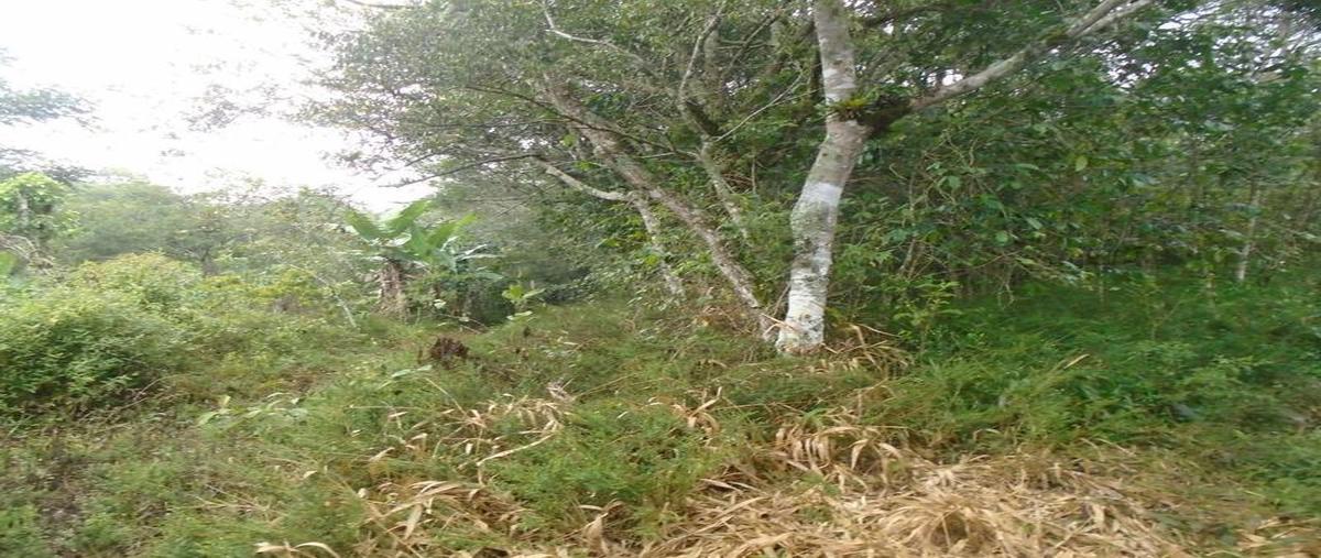 Foto de terreno habitacional en venta en  , culturas mexicanas, xalapa, veracruz de ignacio de la llave, 6696758 No. 03