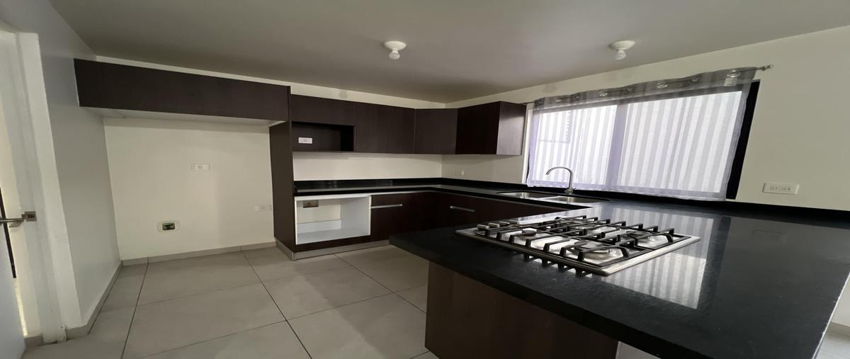 Foto de casa en renta en  , cumbres britania, garcía, nuevo león, 0 No. 03