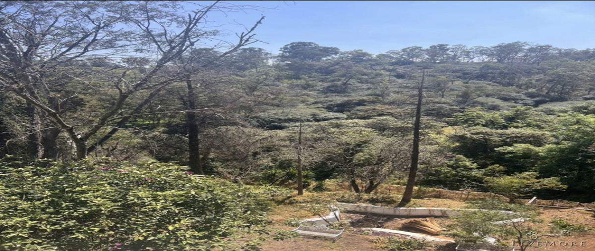 Foto de terreno habitacional en venta en cumbres de acutzingo , lomas de chapultepec i sección, miguel hidalgo, df / cdmx, 29441767 No. 03