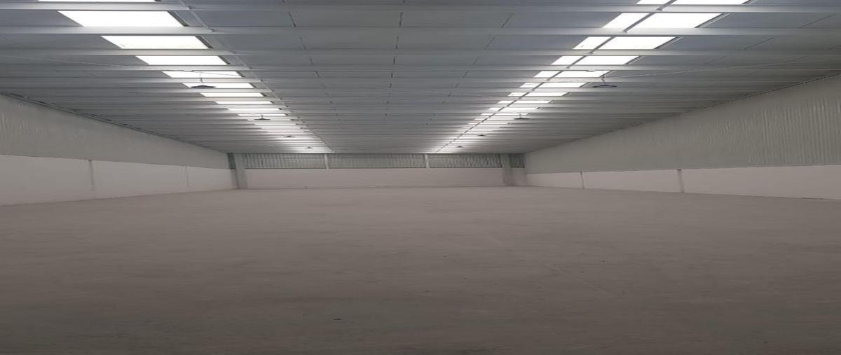 Foto de nave industrial en renta en  , cumbres de conín tercera sección, el marqués, querétaro, 30547006 No. 05