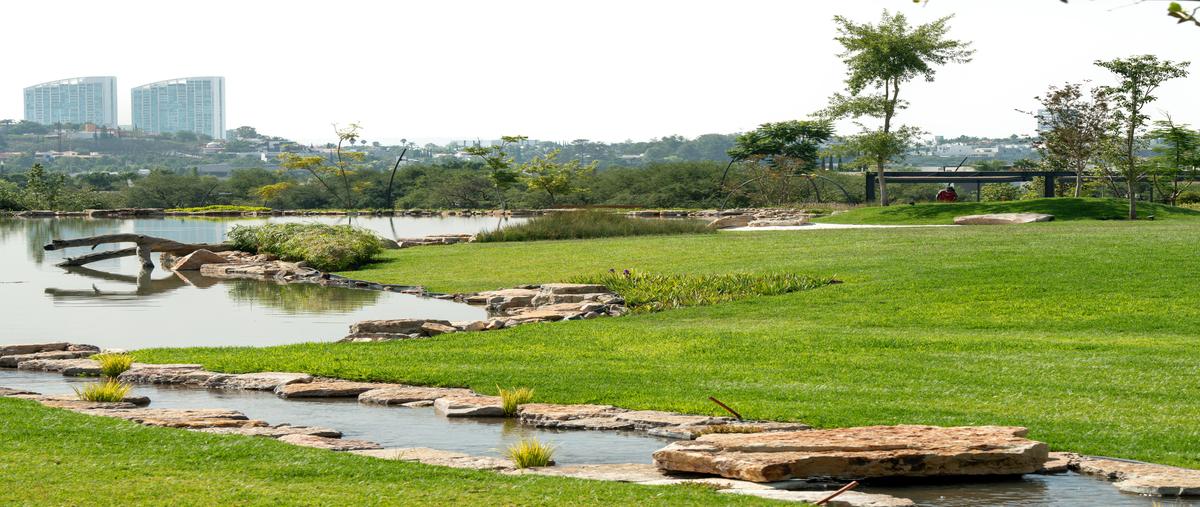 Foto de terreno habitacional en venta en  , cumbres del lago, querétaro, querétaro, 0 No. 05