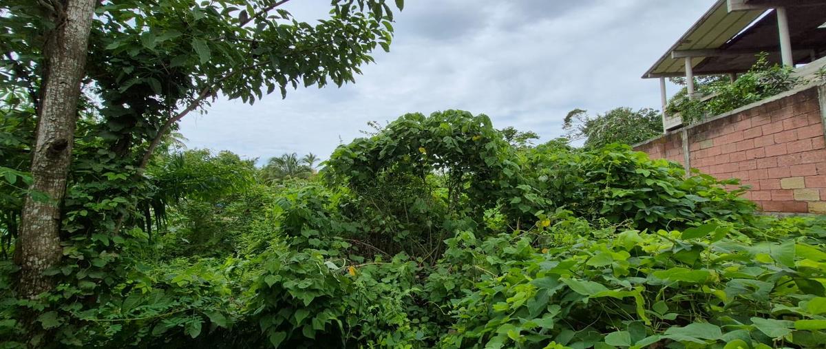 Foto de terreno habitacional en venta en  , cumbres llano largo, acapulco de juárez, guerrero, 0 No. 05