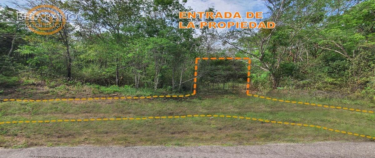 Foto de terreno habitacional en venta en  , cuncunul, cuncunul, yucatán, 27262331 No. 03