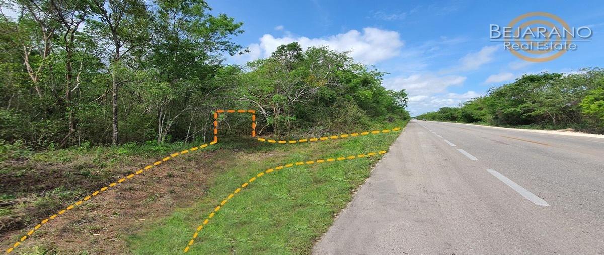 Foto de terreno habitacional en venta en  , cuncunul, cuncunul, yucatán, 27262331 No. 04