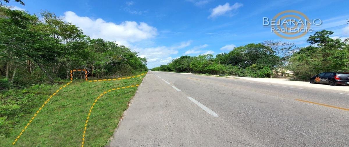 Foto de terreno habitacional en venta en  , cuncunul, cuncunul, yucatán, 27262331 No. 05