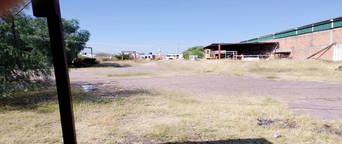 Foto de terreno habitacional en renta en  , curtidores, aguascalientes, aguascalientes, 0 No. 04