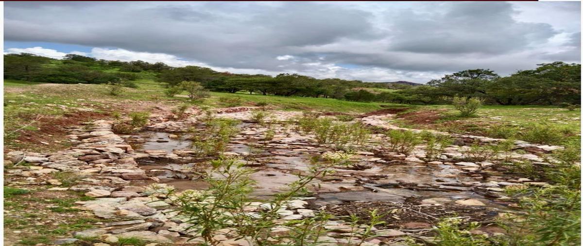 Foto de rancho en , cusi, cusihuiriachi, chihuahua, 29394630 foto 04 Foto de rancho en venta en , cusi, cusihuiriachi, chihuahua, 29394630 No. 04