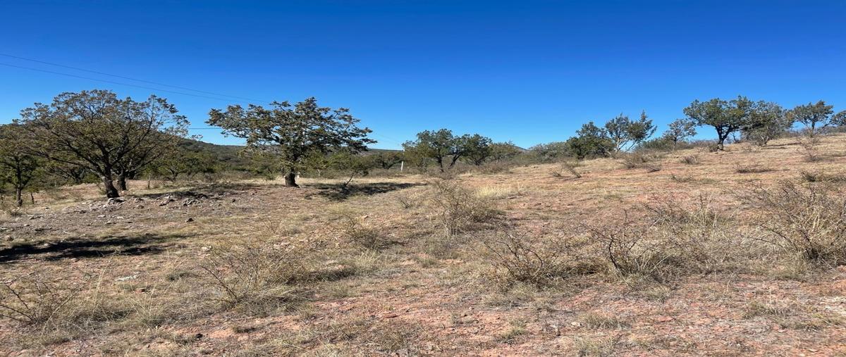 Foto de terreno habitacional en venta en  , cusihuiriachi, cusihuiriachi, chihuahua, 0 No. 04