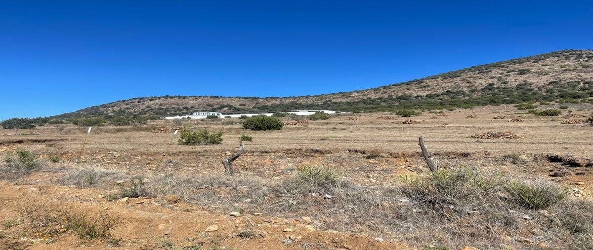 Foto de terreno habitacional en , cusihuiriachi, cusihuiriachi, chihuahua, 0 foto 02 Foto de terreno habitacional en venta en , cusihuiriachi, cusihuiriachi, chihuahua, 0 No. 02